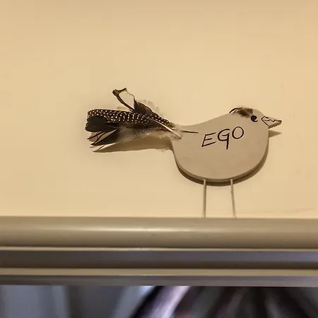 Bed & Breakfast Door 10 Ghent